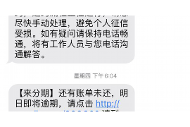 栾城为什么选择专业追讨公司来处理您的债务纠纷？